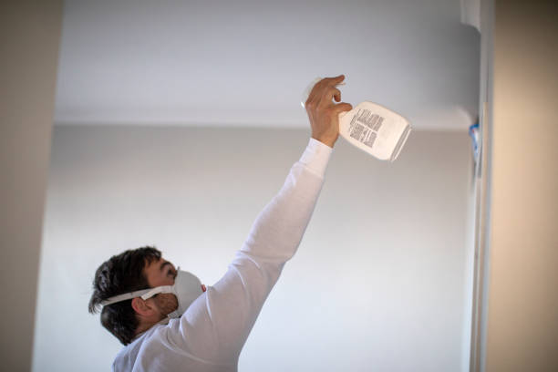 Best Mold Inspection  in Colfax, IL