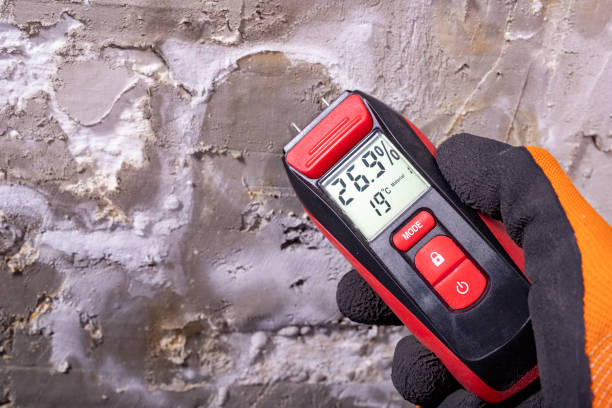 Best Mold Remediation  in Colfax, IL